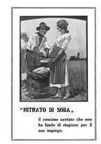 giornale/UM10003065/1924/unico/00000354