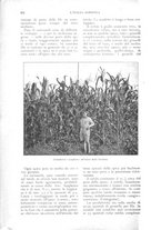 giornale/UM10003065/1924/unico/00000368