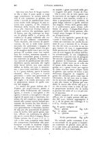 giornale/UM10003065/1924/unico/00000388