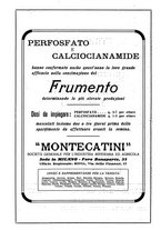 giornale/UM10003065/1924/unico/00000398