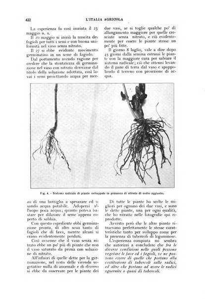 L'Italia agricola