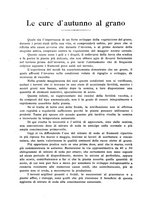 giornale/UM10003065/1924/unico/00000446