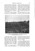 giornale/UM10003065/1924/unico/00000463