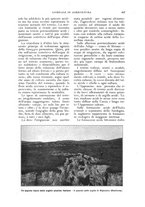 giornale/UM10003065/1924/unico/00000465