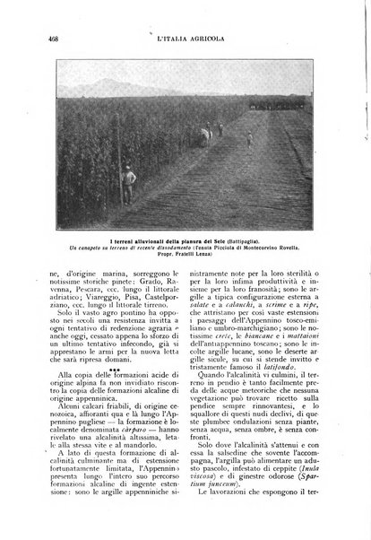 L'Italia agricola