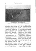 giornale/UM10003065/1924/unico/00000466