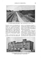 giornale/UM10003065/1924/unico/00000497