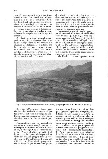 L'Italia agricola