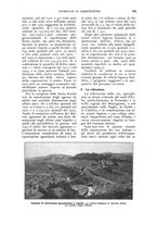 giornale/UM10003065/1924/unico/00000503