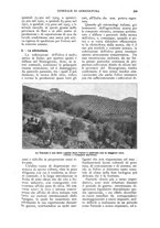 giornale/UM10003065/1924/unico/00000507