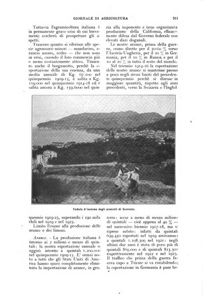 L'Italia agricola