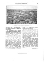 giornale/UM10003065/1924/unico/00000515