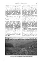 giornale/UM10003065/1924/unico/00000519