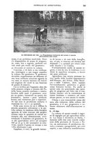 giornale/UM10003065/1924/unico/00000523