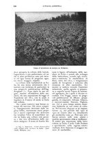 giornale/UM10003065/1924/unico/00000528
