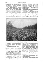 giornale/UM10003065/1924/unico/00000530