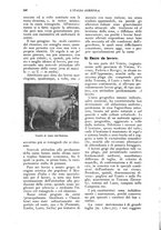 giornale/UM10003065/1924/unico/00000538
