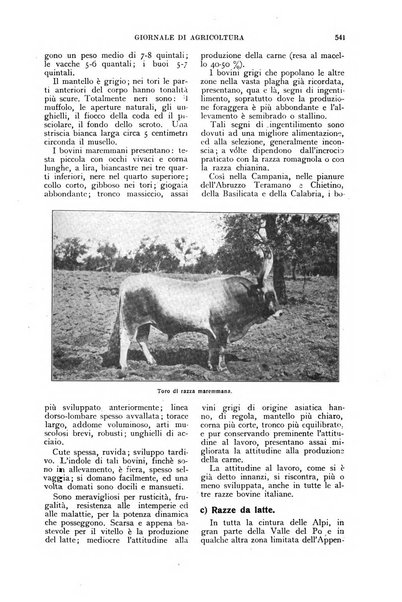 L'Italia agricola