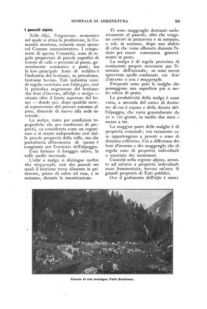 L'Italia agricola