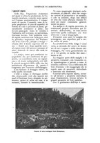 giornale/UM10003065/1924/unico/00000549