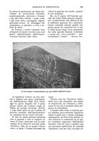 giornale/UM10003065/1924/unico/00000555