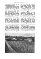 giornale/UM10003065/1924/unico/00000581