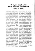 giornale/UM10003065/1924/unico/00000614