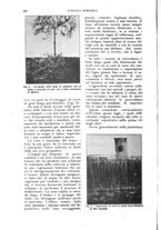 giornale/UM10003065/1924/unico/00000628