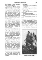 giornale/UM10003065/1924/unico/00000633