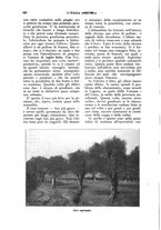 giornale/UM10003065/1924/unico/00000634