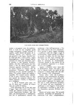 giornale/UM10003065/1924/unico/00000636