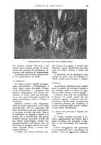 giornale/UM10003065/1924/unico/00000637