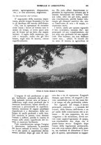 giornale/UM10003065/1924/unico/00000639