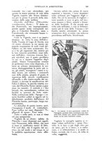 giornale/UM10003065/1924/unico/00000651