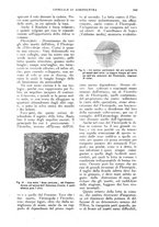 giornale/UM10003065/1924/unico/00000653
