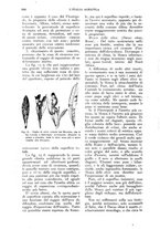 giornale/UM10003065/1924/unico/00000654