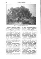 giornale/UM10003065/1924/unico/00000660