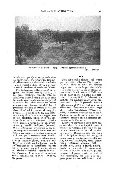 L'Italia agricola