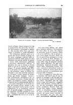 giornale/UM10003065/1924/unico/00000661