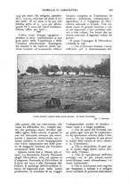 giornale/UM10003065/1924/unico/00000663