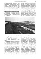 giornale/UM10003065/1925/unico/00000071