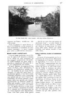 giornale/UM10003065/1925/unico/00000073