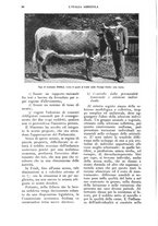 giornale/UM10003065/1925/unico/00000106