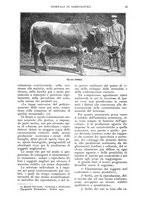 giornale/UM10003065/1925/unico/00000107