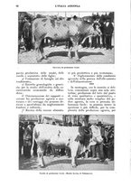 giornale/UM10003065/1925/unico/00000108