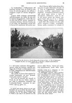 giornale/UM10003065/1925/unico/00000111