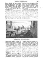 giornale/UM10003065/1925/unico/00000135