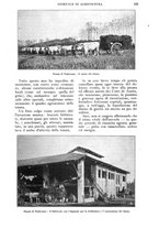 giornale/UM10003065/1925/unico/00000139