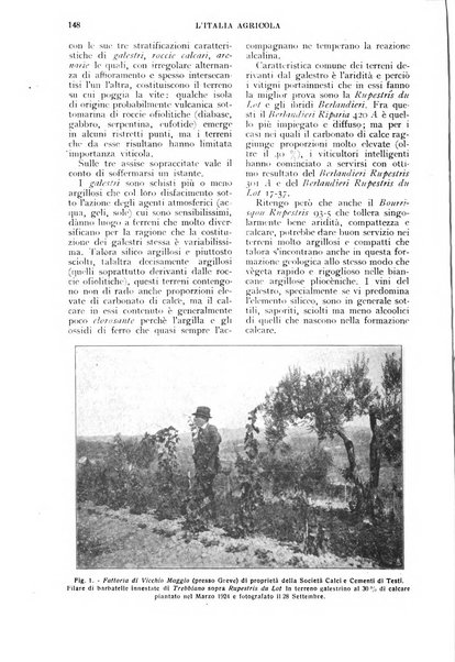 L'Italia agricola