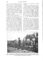 giornale/UM10003065/1925/unico/00000168